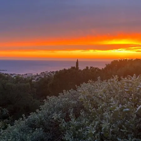 Superbe Vue Et Piscine Appartement Bandol